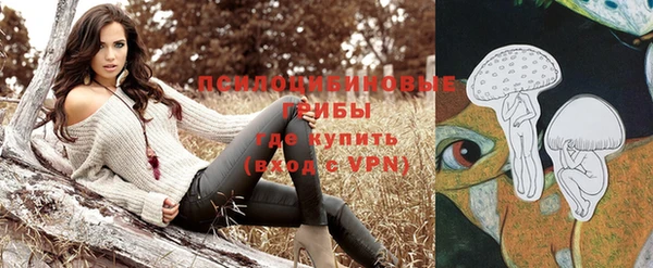 a pvp Надым