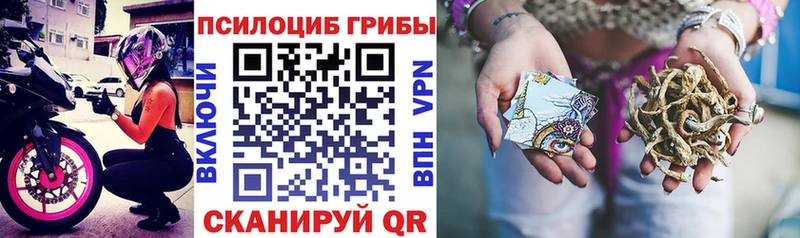 Псилоцибиновые грибы MAGIC MUSHROOMS  Купить где  Макушино 